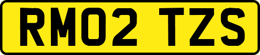 RM02TZS