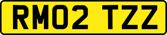 RM02TZZ