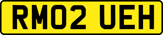 RM02UEH