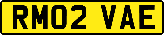 RM02VAE