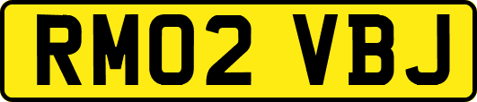 RM02VBJ