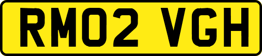 RM02VGH