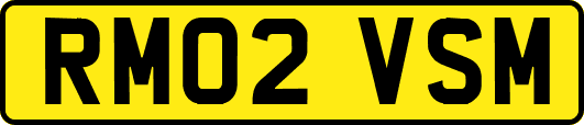RM02VSM