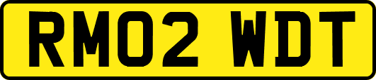 RM02WDT
