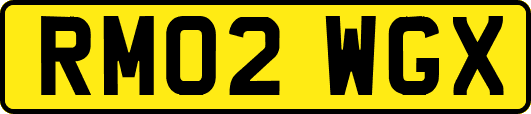RM02WGX