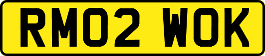 RM02WOK