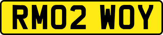 RM02WOY