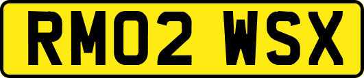 RM02WSX
