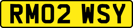 RM02WSY