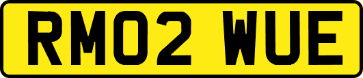 RM02WUE