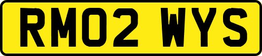 RM02WYS