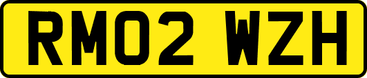 RM02WZH