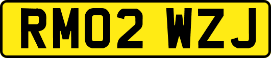 RM02WZJ