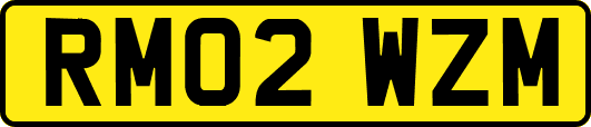 RM02WZM