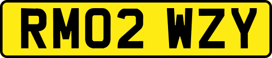 RM02WZY