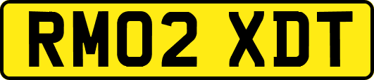 RM02XDT