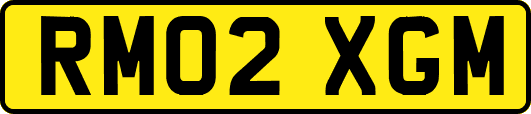 RM02XGM