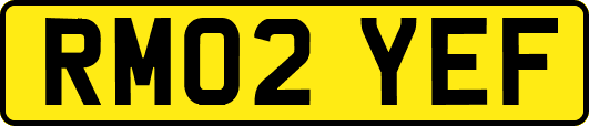 RM02YEF