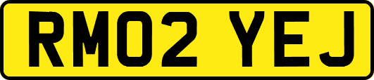 RM02YEJ
