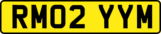 RM02YYM