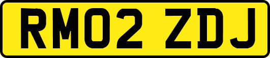 RM02ZDJ
