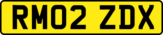 RM02ZDX