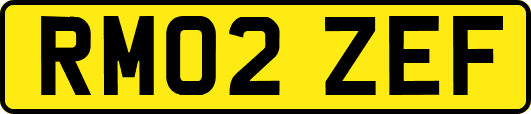 RM02ZEF