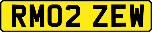 RM02ZEW