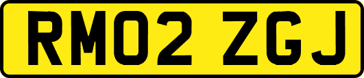 RM02ZGJ