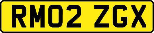 RM02ZGX