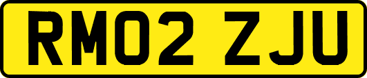 RM02ZJU