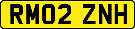 RM02ZNH