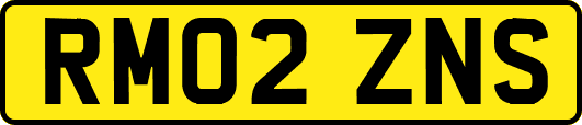 RM02ZNS