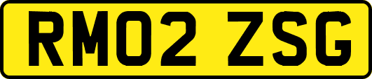 RM02ZSG