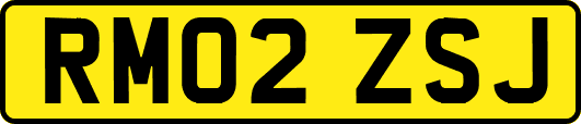 RM02ZSJ