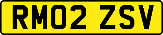RM02ZSV