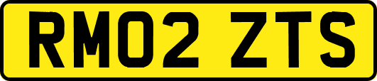 RM02ZTS