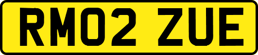 RM02ZUE