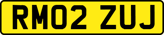 RM02ZUJ