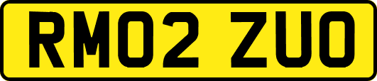 RM02ZUO