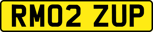 RM02ZUP