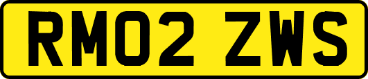 RM02ZWS