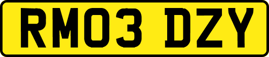 RM03DZY