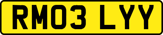 RM03LYY
