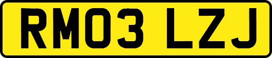 RM03LZJ