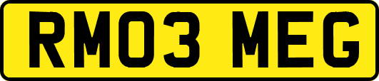 RM03MEG