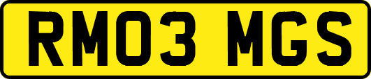 RM03MGS