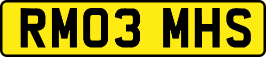RM03MHS