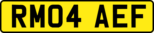 RM04AEF