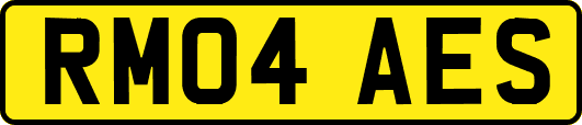 RM04AES